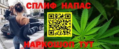 гидропоника Славгород