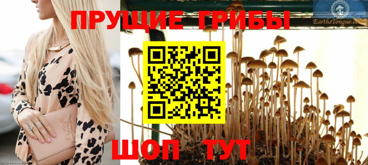 Бошки Шишки  ГАШИШ  Орёл  МЕФ   Вход с VPN  Cocaine 