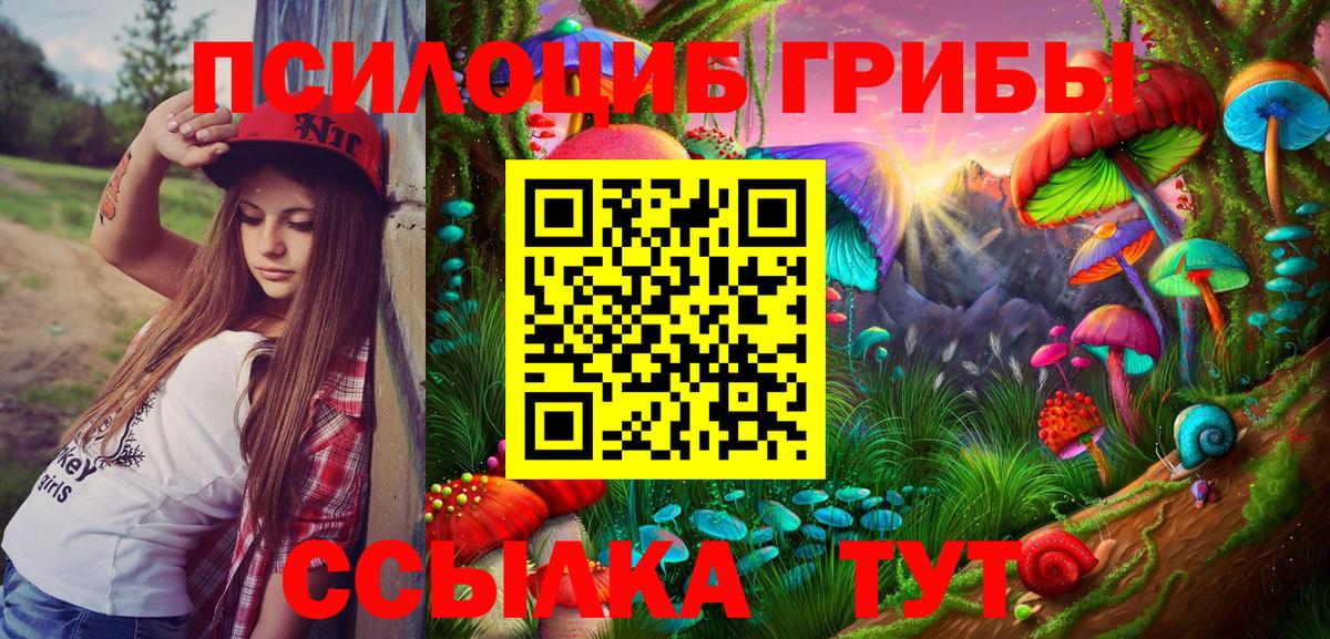 где можно купить   Вход с VPN  Орёл  Галлюциногенные грибы Magic Shrooms 